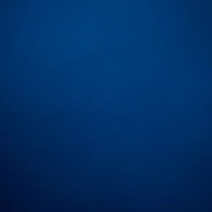 Meet your Posher, Dina